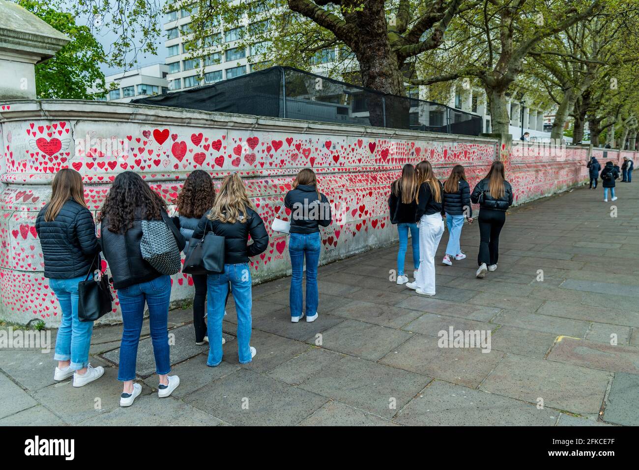 Londres, Royaume-Uni. 30 avril 2021. Beaucoup de gens s'arrêtent encore de regarder, y compris ce groupe de filles qui se dirigent pour une nuit dehors, bien qu'ils ne savent pas vraiment ce que c'est tout - le mur national Covid Memorial à l'extérieur de l'hôpital St Thomas, sur la rive sud est maintenant en grande partie terminé. La famille et les amis de quelques-uns des plus de cent quarante-cinq mille personnes qui ont perdu la vie à Covid-19 ont tiré le cœur à la main sur un mur en face du Parlement de Londres. Chaque cœur représente quelqu'un qui était aimé et qui est mort de covid. Il a été organisé par les familles bereavées Covid-19 pour la justice. De la Banque D'Images