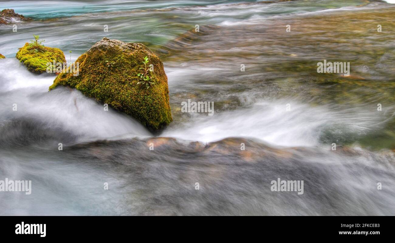 Moos a couvert un rocher dans une rivière Banque D'Images