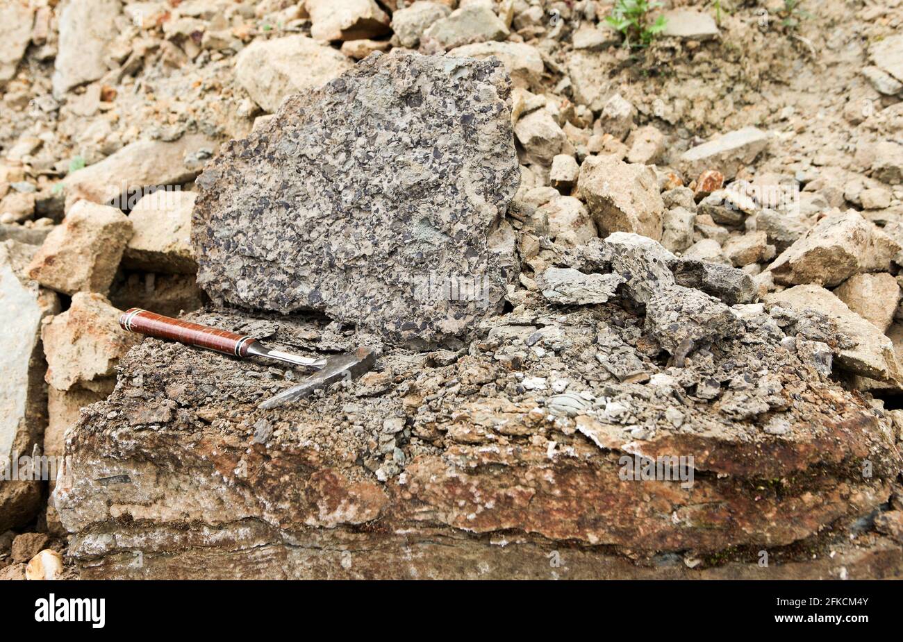 Les géologues font un marteau sur la phosohorite - travail géologique sur le terrain. Marteau de géologue, marteau de roche, marteau de roche, ou marteau de géologie - marteau utilisé pour la séparation Banque D'Images