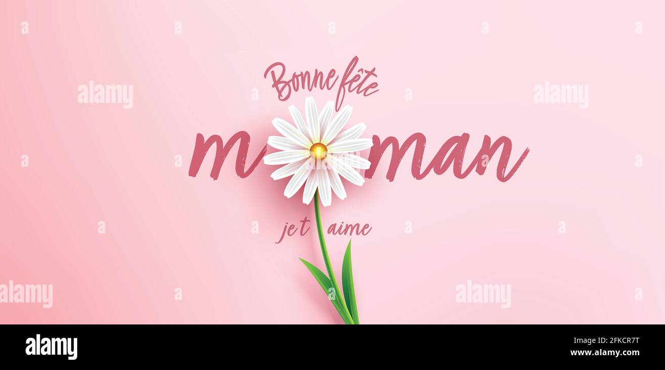 Affiche ou bannière de la fête des mères « I Love MOM » avec coeurs doux, fleurs et boîte cadeau rose sur fond rose.modèle ou fond de promotion et d'achat Banque D'Images