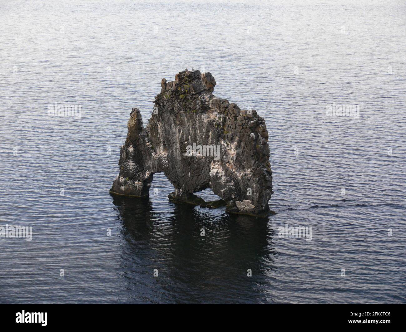 La formation de roche islandaise Hvitserkur ressemble à un dragon buvant qui est debout dans la mer Banque D'Images