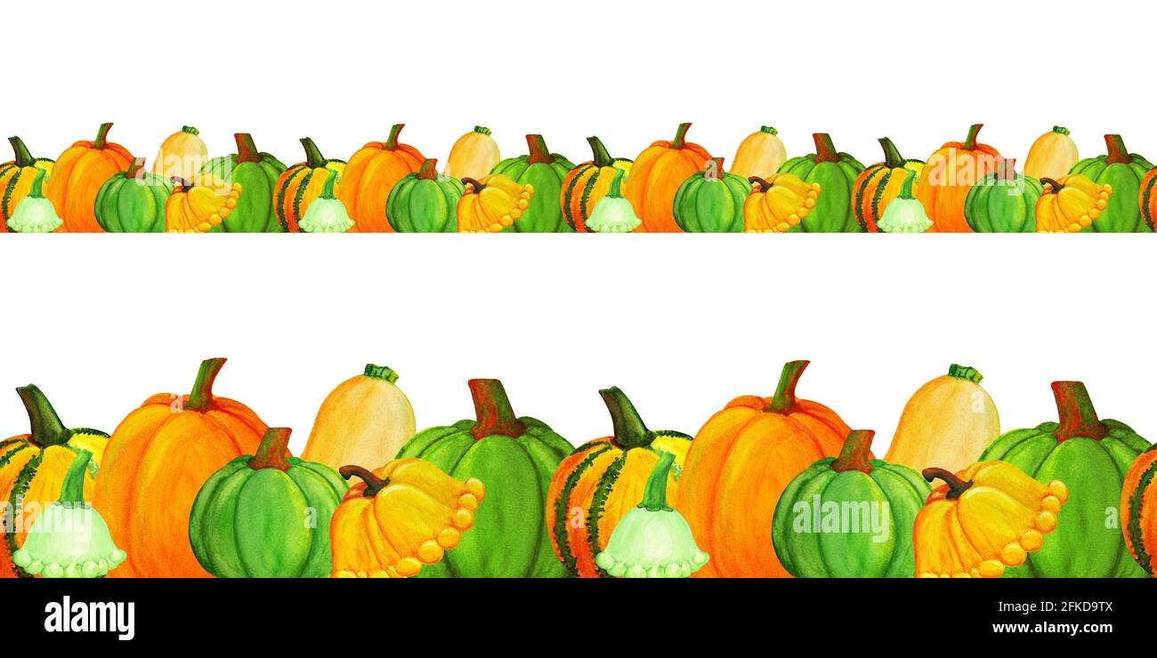 Bordure sans couture en forme de citrouille aquarelle Banque D'Images