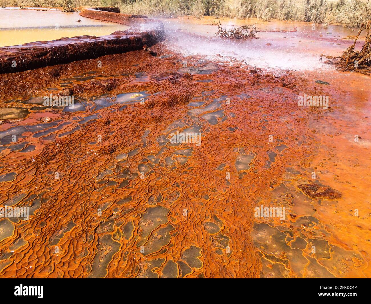 Source de source d'eau naturelle à Damia avec ruisseau ou ressort de montée à l'air Banque D'Images