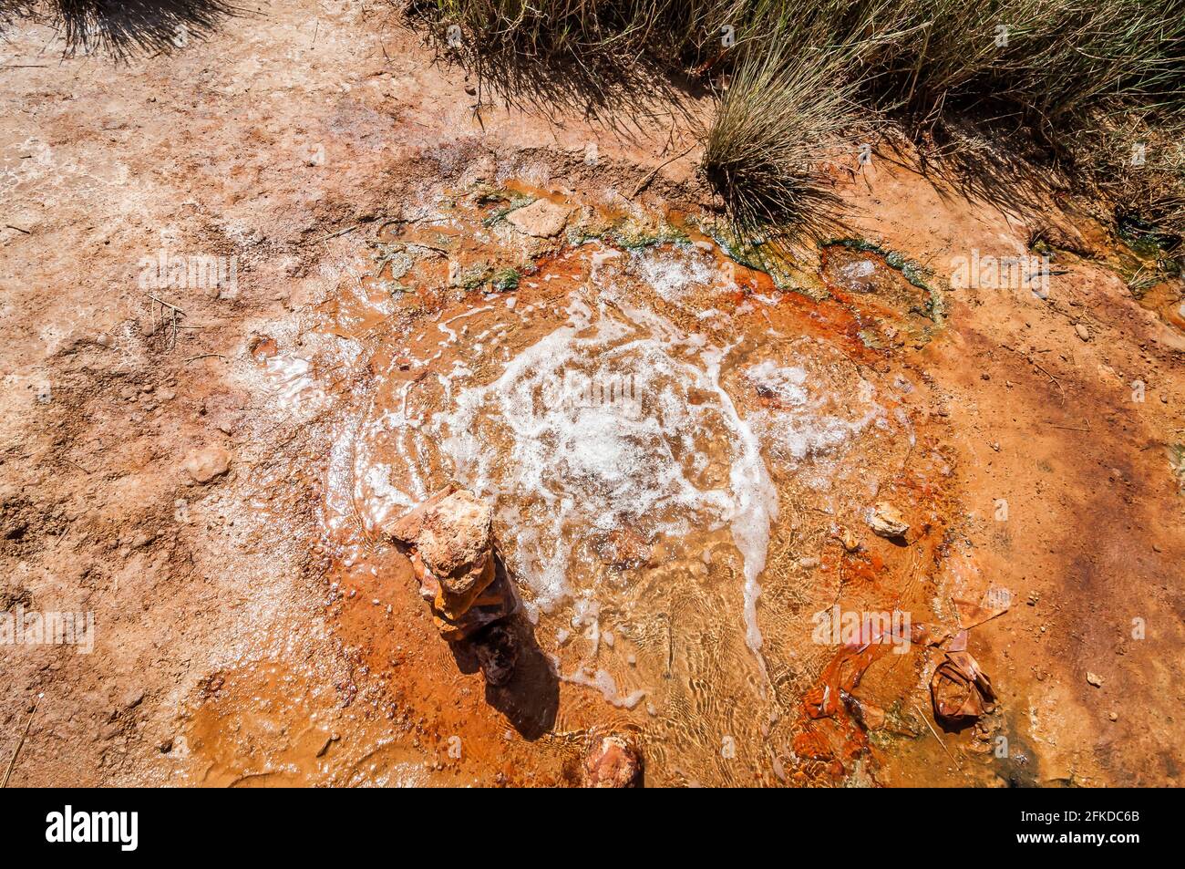 Source de source d'eau naturelle à Damia avec ruisseau ou ressort de montée à l'air Banque D'Images