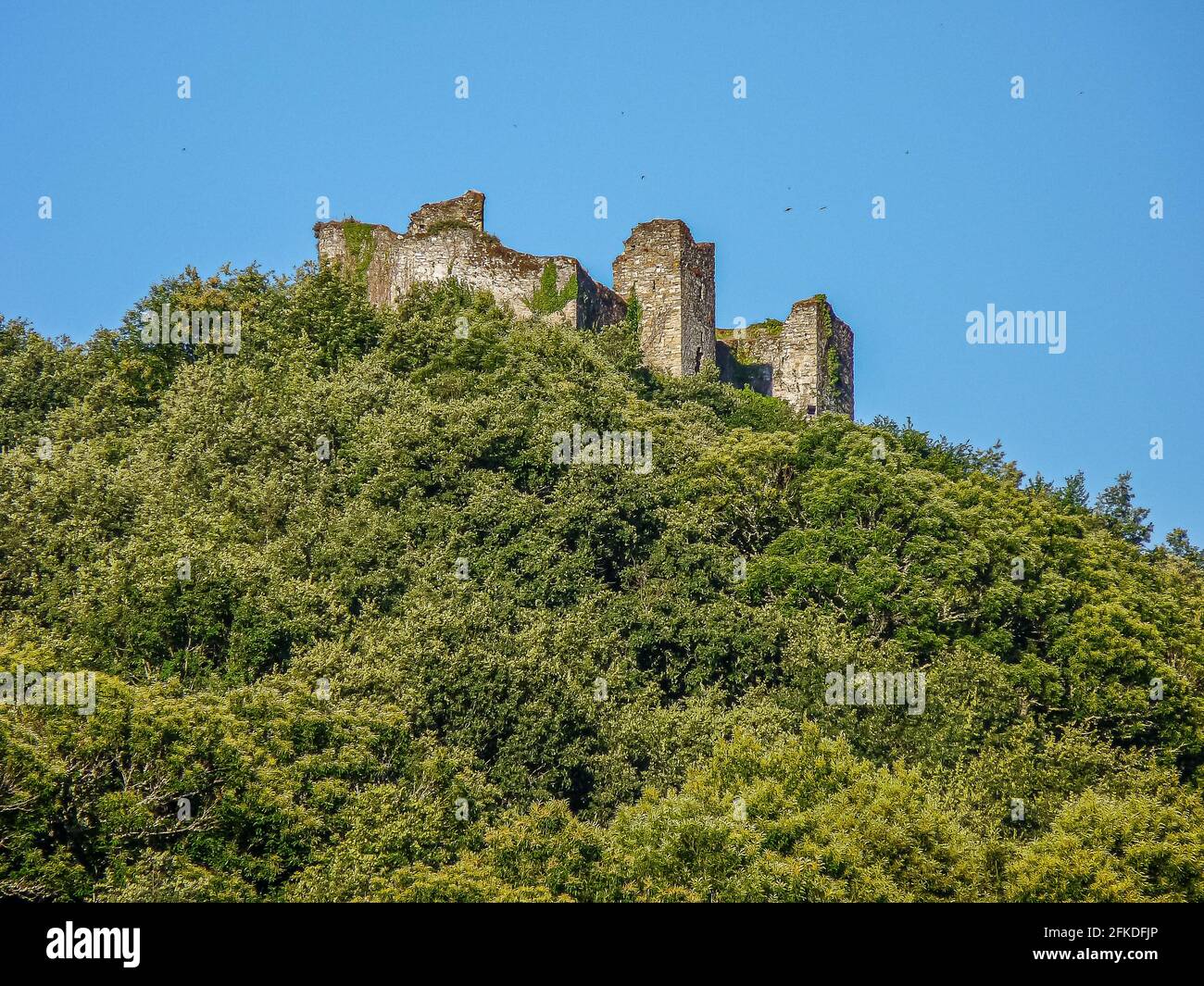 Musa ibn nusair Banque de photographies et d’images à haute résolution