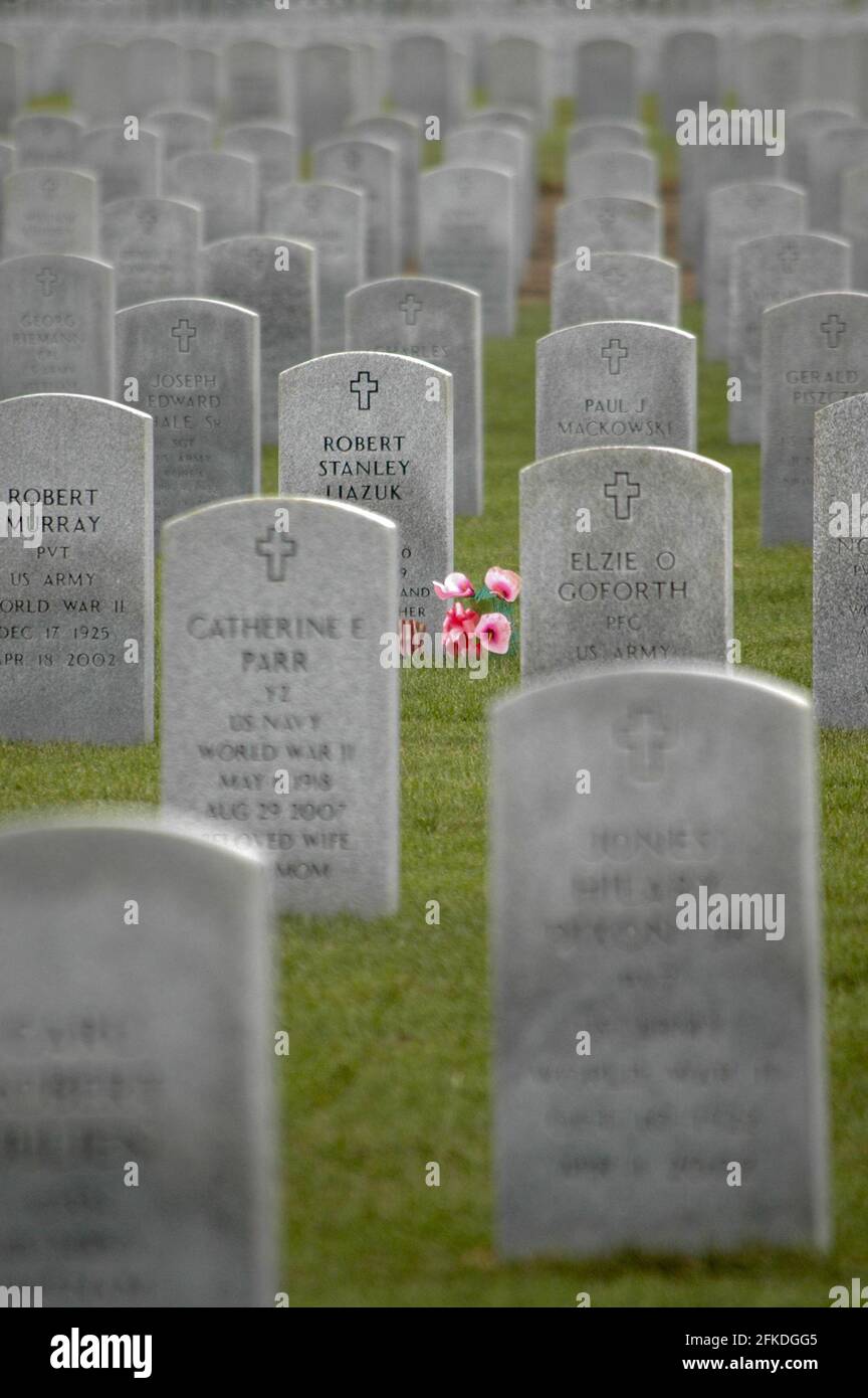 Marqueurs de tombes au cimetière national Abraham Lincoln Banque D'Images