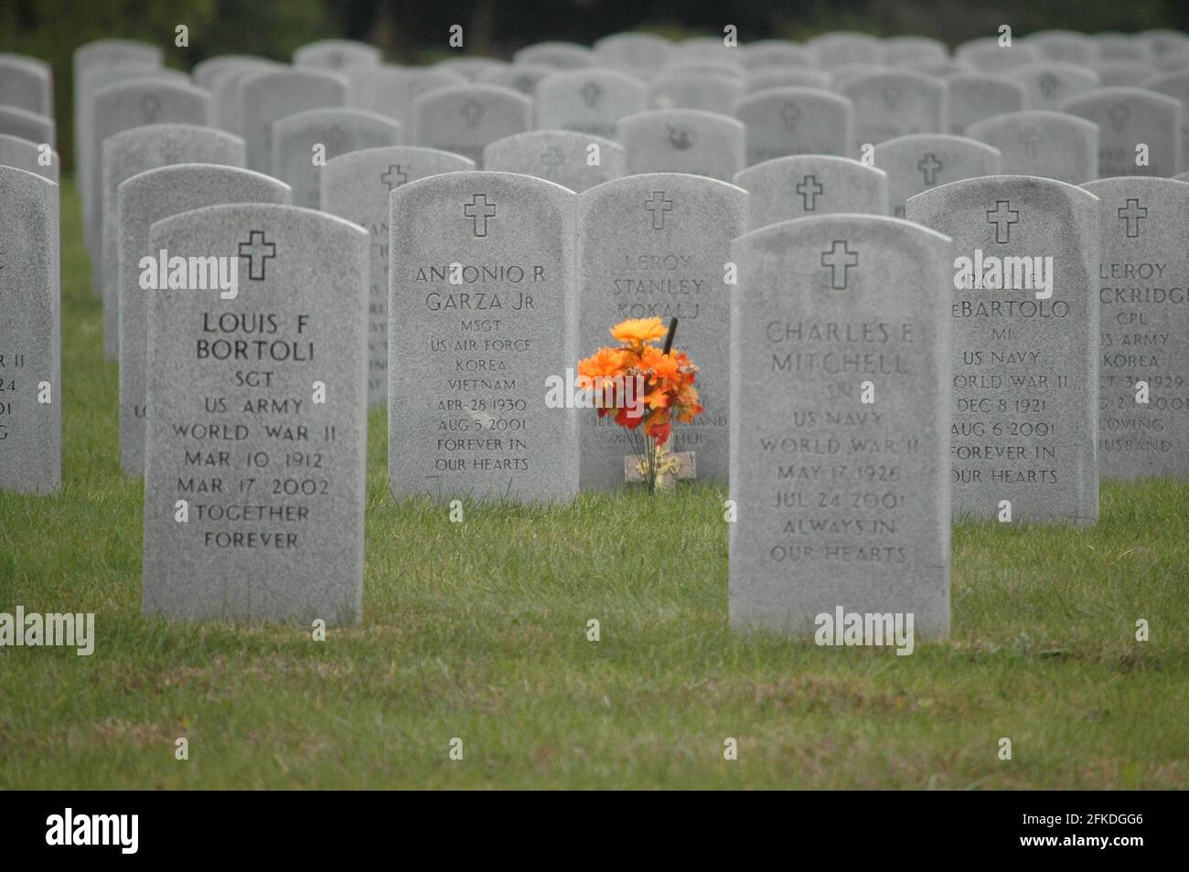 Marqueurs de tombes au cimetière national Abraham Lincoln Banque D'Images