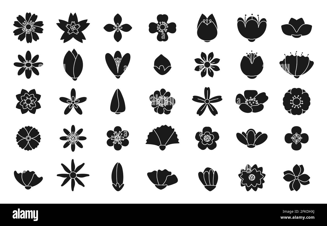 Ensemble d'icônes de fleurs silhouettes noires. Modèle simple fleur de ressort. Élément nature du signe, symboles pour le logo de la boutique florale, jolis autocollants, étiquettes ou papier cadeau. Isolé sur une illustration vectorielle blanche Illustration de Vecteur