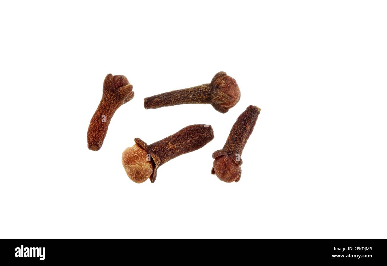Un groupe de clous de girofle de fleur aromatiques séchés Banque D'Images