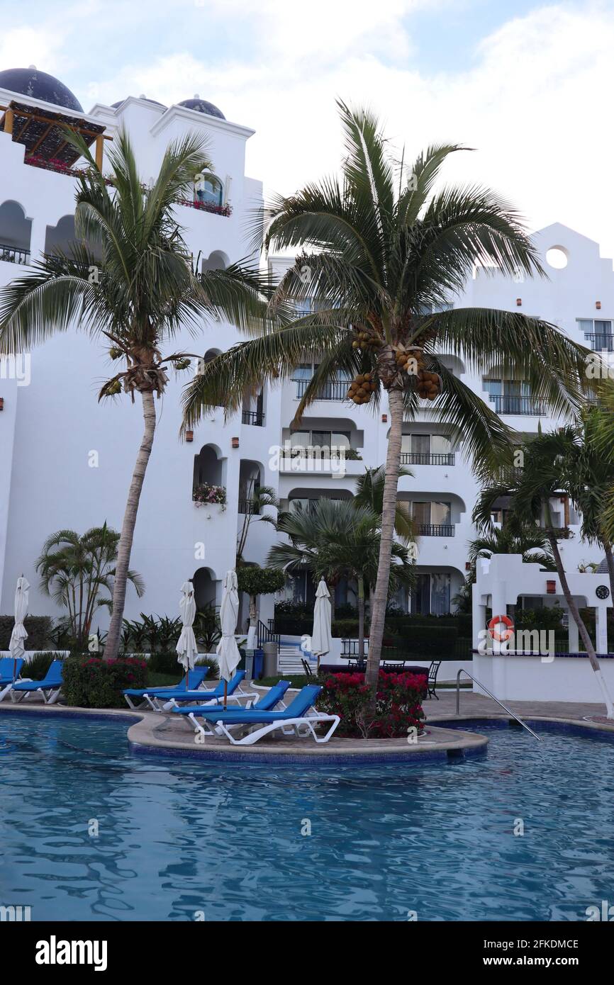 Vue verticale de la piscine de luxe avec chaises longues et palmiers à Los Cabos, Mexique Banque D'Images