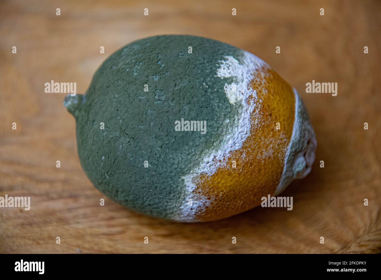 Putrid fruit Banque de photographies et d’images à haute résolution - Alamy