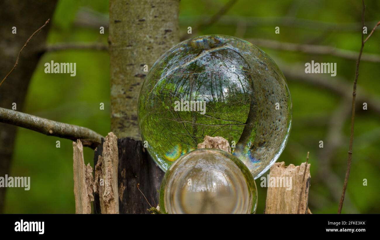 Vue sur la forêt à travers des boules de verre Banque D'Images