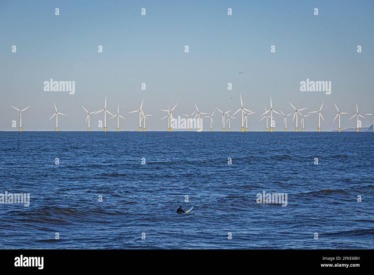 Surfer à Seaton Carew, nord-est de l'Angleterre avec Teesside Offshore Windfarm à distance , .England, UK. Banque D'Images