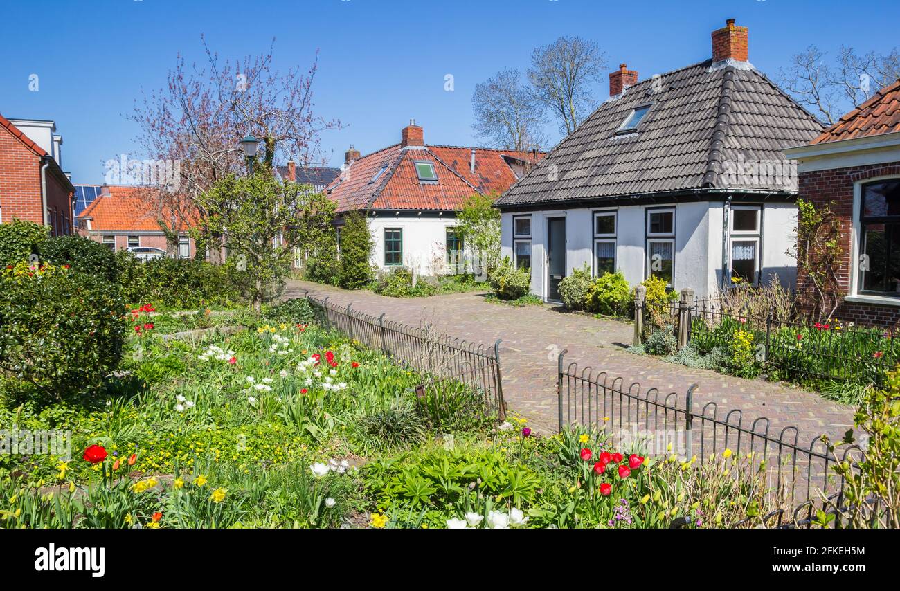 Rue avec maisons anciennes et jardins colorés à Zuidhorn, pays-Bas Banque D'Images