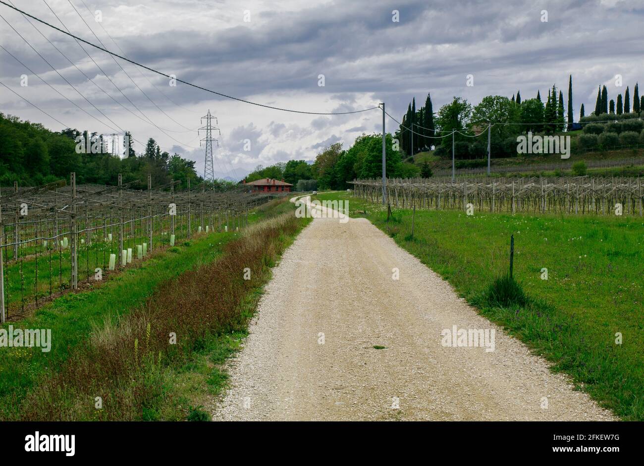 Une Route De Campagne Photo Stock Alamy