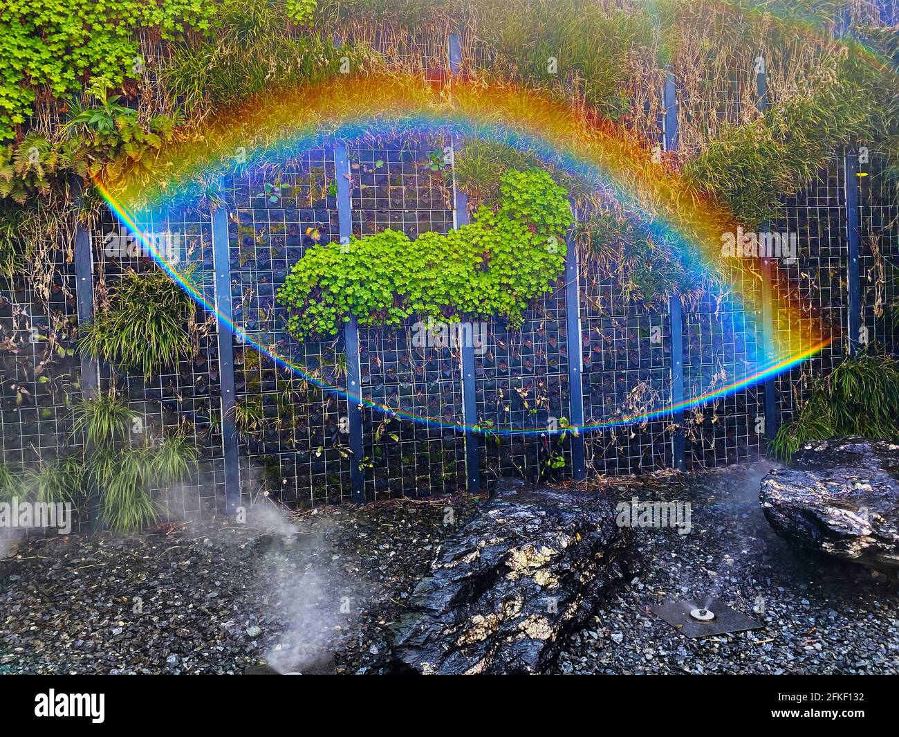 Berlin, Allemagne - 28 avril 2021 : effet optique qui crée un arc-en-ciel en forme d'œil lorsque les plantes sont arrosées sur une clôture. Banque D'Images