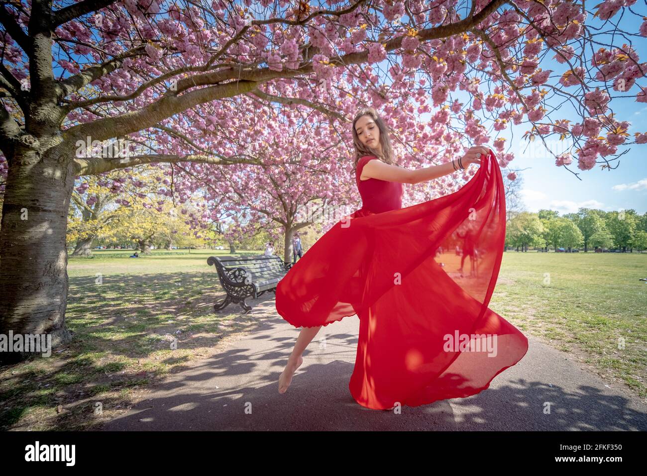 Londres, Royaume-Uni. 1er mai 2021. Météo au Royaume-Uni : le soleil fleurira dans Greenwich Park. Rebecca Olarescu, étudiante en formation de maîtres à la London Contemporary Dance School (LCDS), bénéficie du soleil de vacances en bord de mer en se posant près des cerisiers en fleurs de Greenwich Park. Credit: Guy Corbishley/Alamy Live News Banque D'Images