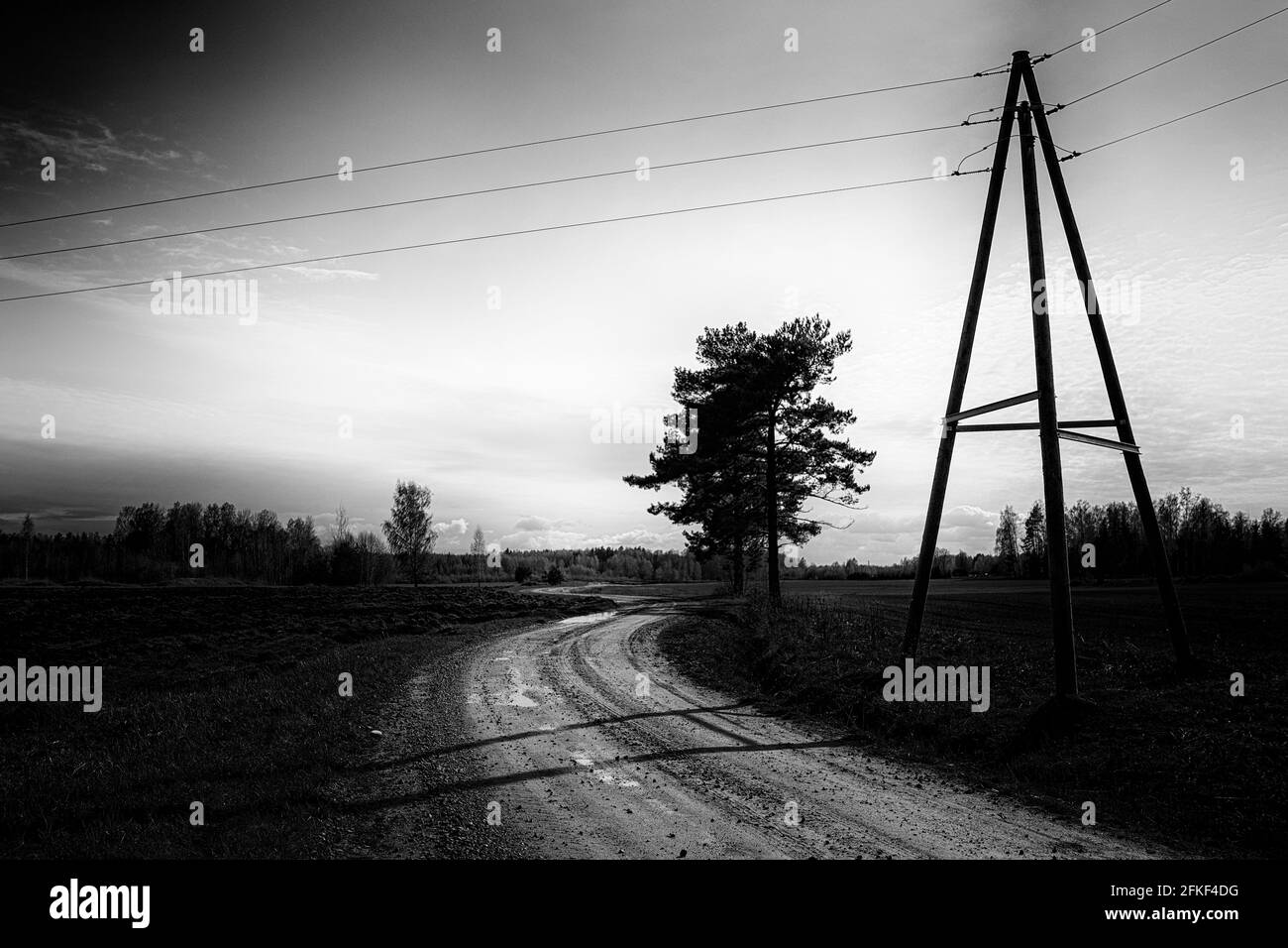Les routes de campagne traversent les champs agricoles. Poteaux électriques le long de l'argile. Route. Version contraste noir et blanc Banque D'Images