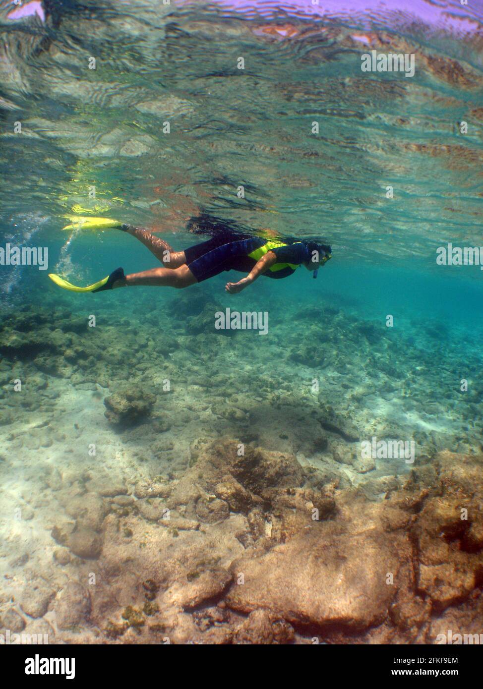 Plongée en plongée baignade près de la surface de la belle mer Banque D'Images