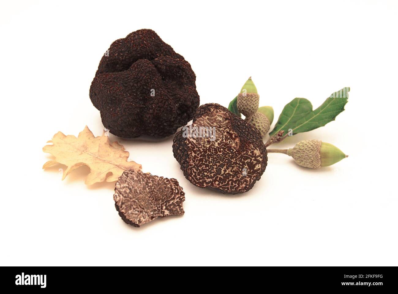 Truffes noires et feuilles de chêne isolées sur fond blanc. Banque D'Images