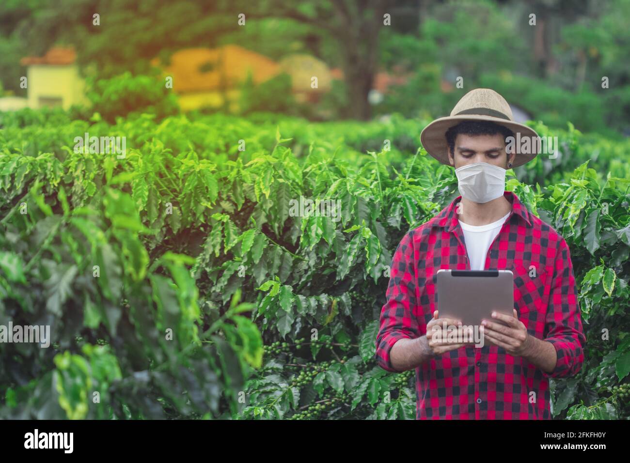 Agriculteur avec un masque et un comprimé pandémiques covid sur la ferme de champ de plantation. Banque D'Images