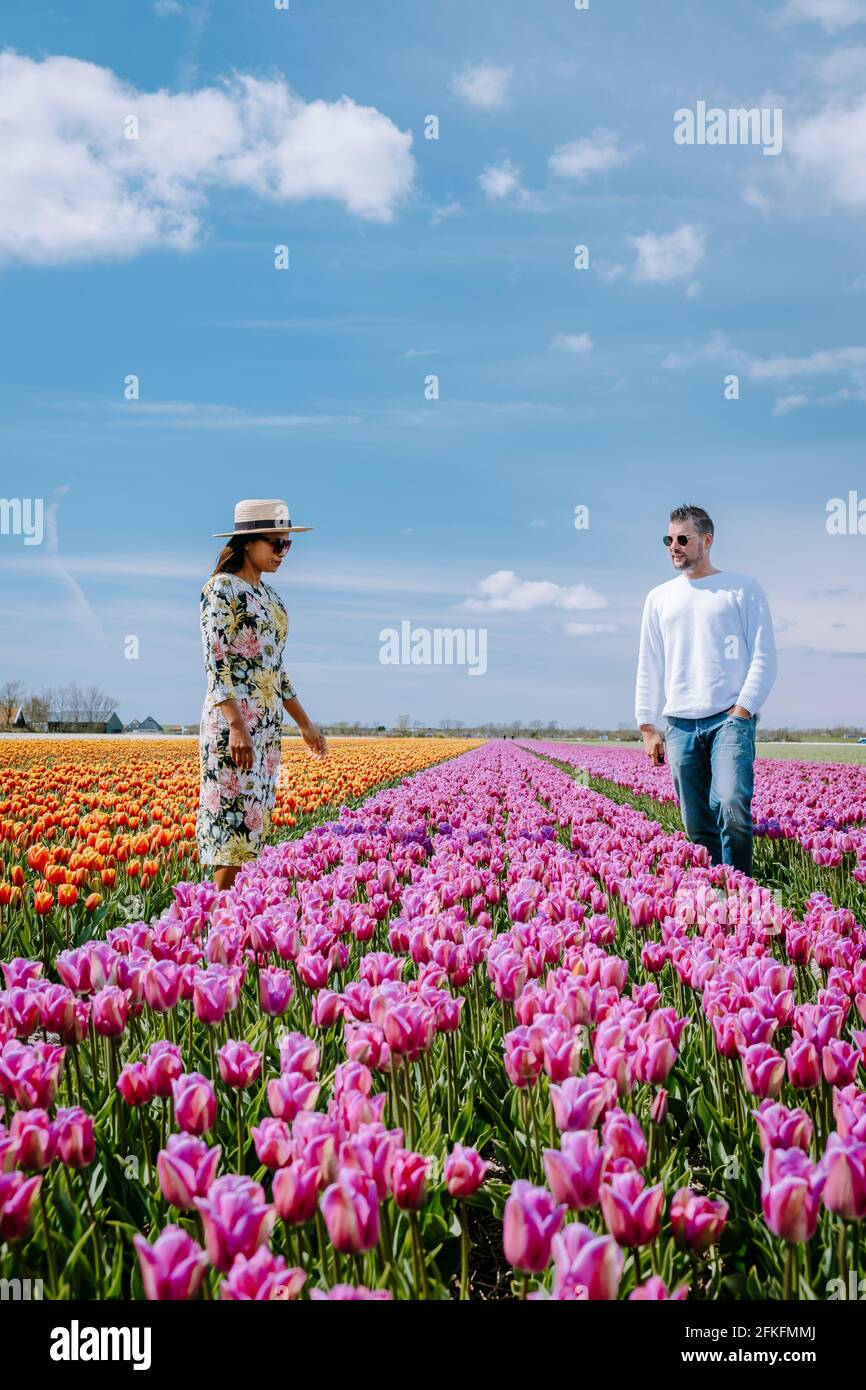 Champ de tulipes aux pays-Bas, champs de tulipes colorés à Flevoland Noordoosstpolder Hollande, vues de printemps néerlandais aux pays-Bas, couple homme et femme mi-âge dans champ de fleurs Banque D'Images