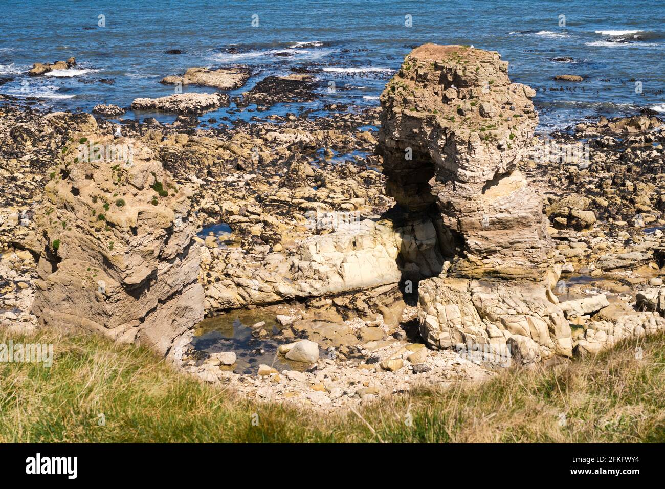 Une pile de mer au sud de Whitburn sur la côte nord-est, Angleterre, Royaume-Uni Banque D'Images