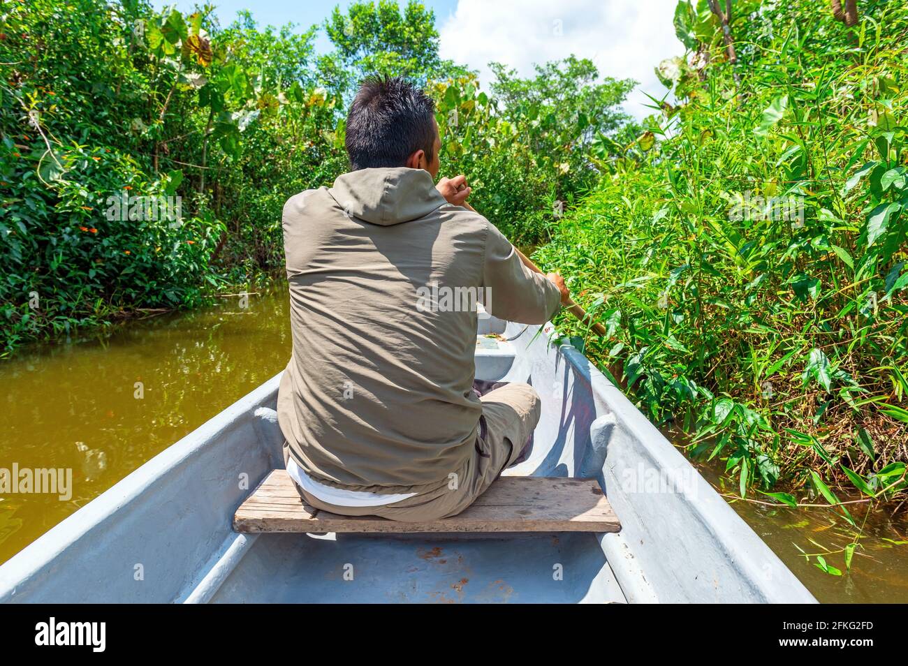 Guide touristique aviron à travers un canal lors d'une visite d'observation des oiseaux, réserve naturelle de Cuyabeno, forêt amazonienne, Équateur. Banque D'Images