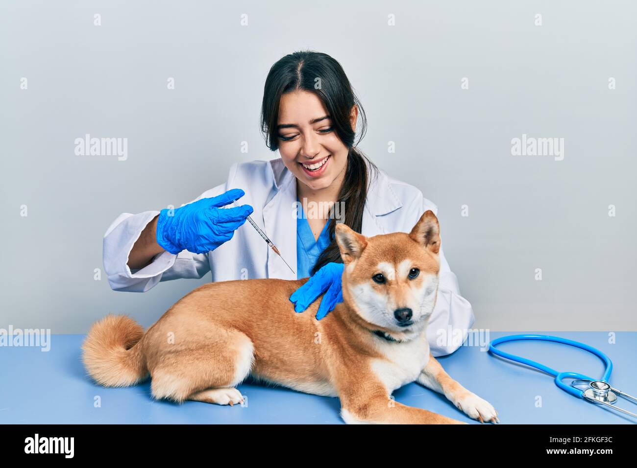Belle femme vétérinaire hispanique mettant le vaccin au chien de chiot sourire et rire fort parce que drôle de blague folle. Banque D'Images