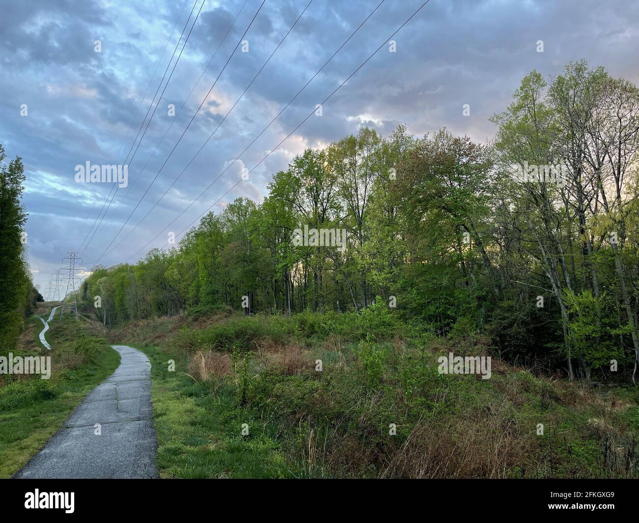 Un sentier baigné de pluie serpente à travers des arbres et des buissons verts luxuriants tandis qu'un ciel bleu et blanc spectaculaire menace plus de pluie. Banque D'Images