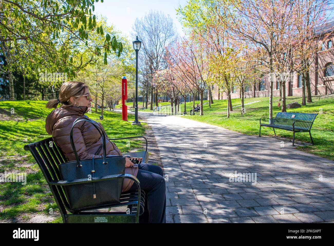 La « promenade du philosophe » dans le centre-ville de Toronto, au Canada. Le parc est un endroit célèbre et une attraction touristique. Banque D'Images