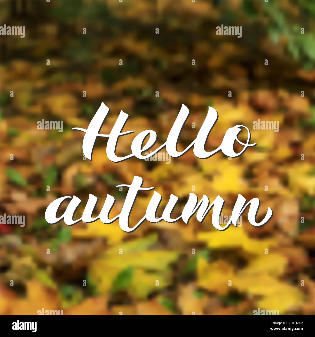 Bonjour automne écrit avec une brosse sur un fond flou de feuilles d'automne colorées. Lettrage calligraphique. Illustration du vecteur d'automne. Modèle facile à modifier Illustration de Vecteur