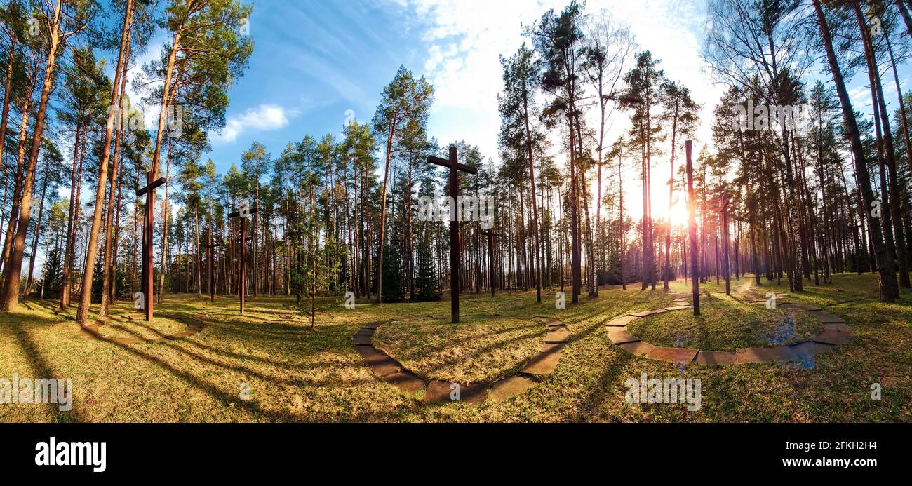 Hautes croix parmi les arbres au cimetière militaire polonais. Mémorial de la Seconde Guerre mondiale. Photo panoramique. Banque D'Images