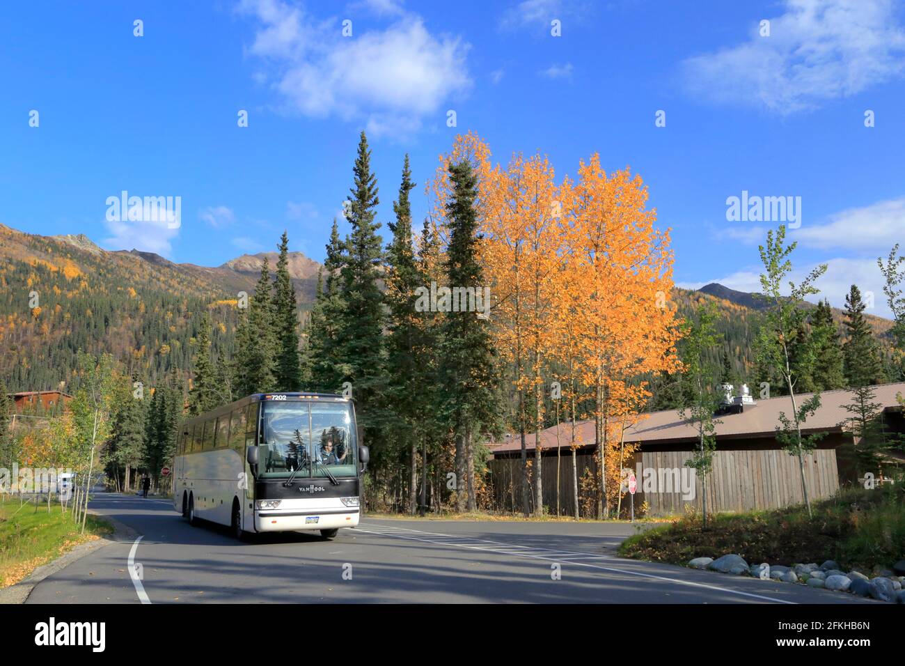 Scène d'automne McKinley Chalet Resort Denali National Park Alaska USA Banque D'Images