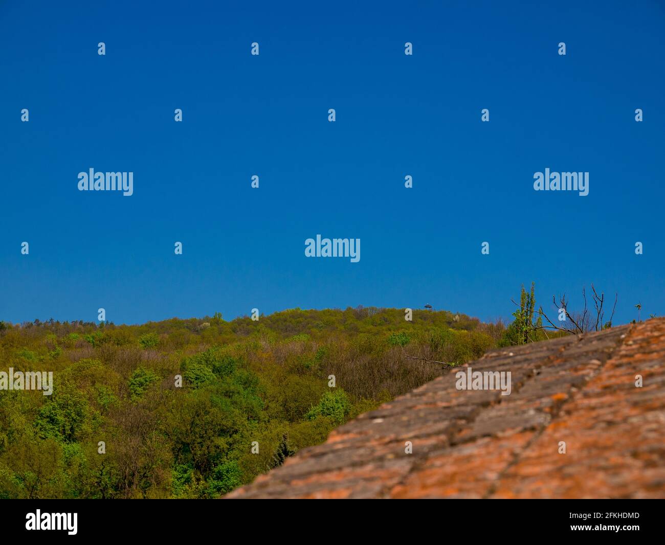 Le toit de la tour d'observation Erbenova vyhlidka au sommet de la colline de la forêt sous le ciel bleu clair. Vue sur le dessus d'un mur en pierre Banque D'Images
