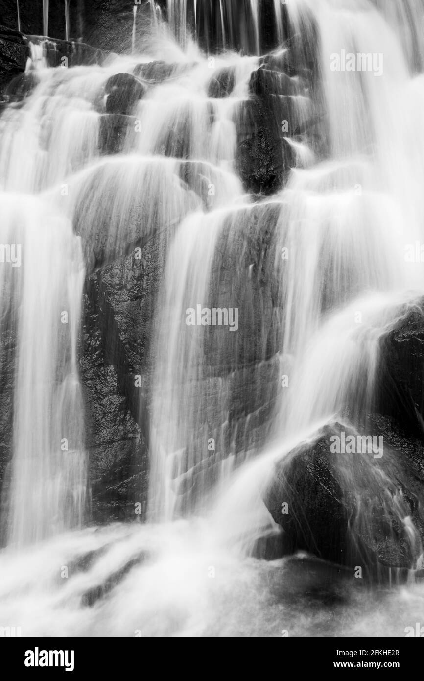 Chute d'eau pure dans une forêt tropicale, eau vive et douce tombant du précipice, couches abstraites et surface de la cascade. Monochrome. Banque D'Images