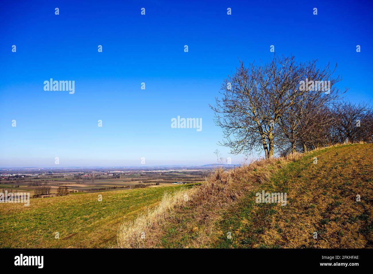 Vue sur une petite ville depuis une colline avec des arbres moucherons et des terres agricoles au début du printemps. Banque D'Images