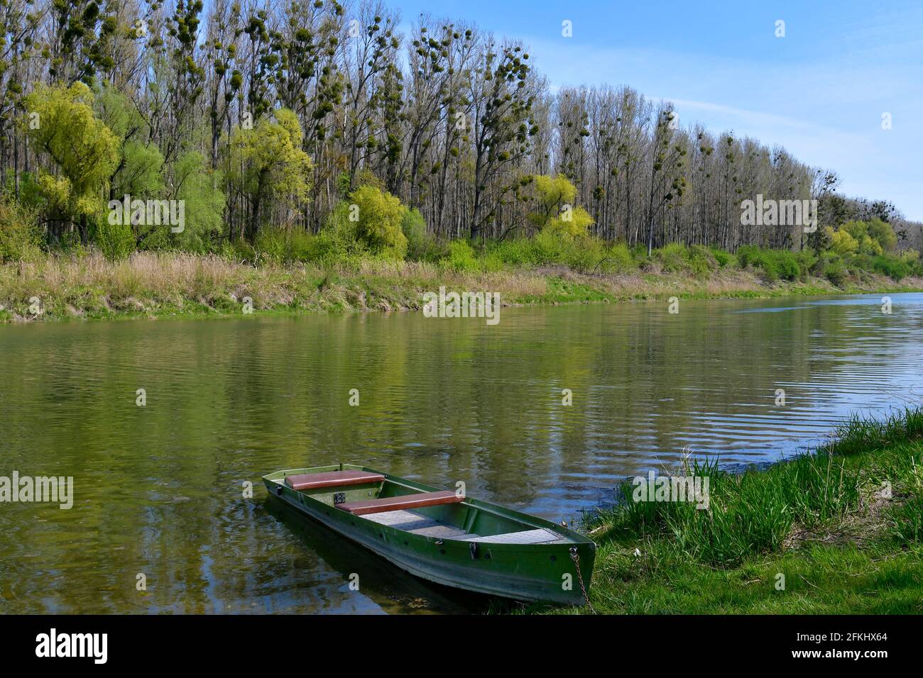 Autriche, paysage avec le lac de l'arbalète et arbres infestés de GUI dans le parc national de Donau-Auen en Basse-Autriche Banque D'Images