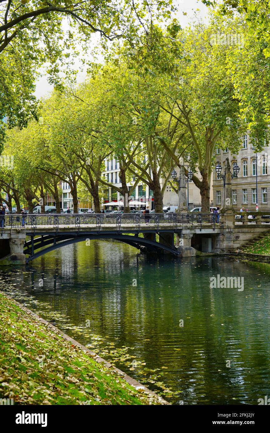 Le magnifique canal vert de la ville 'Kö-Graben' sur Königsallee à Düsseldorf, un morceau de nature verte avec de vieux arbres et des ponts au milieu de la ville. Banque D'Images