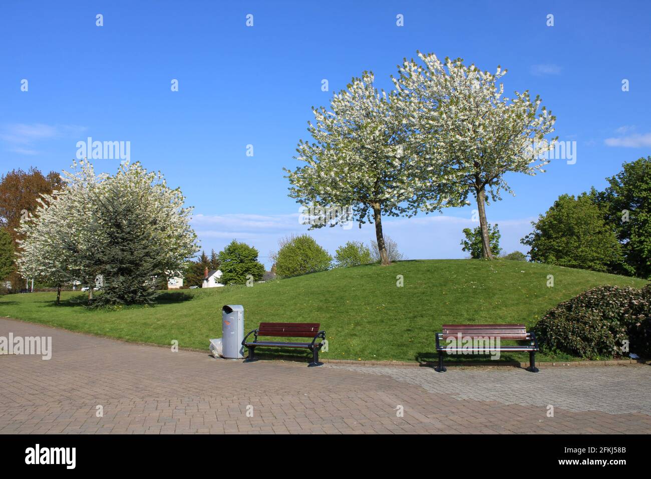 Sean Walsh Memorial Park. Belle journée dans le parc avec des arbres en fleurs. Très beau parc pour prendre votre temps libre dans la nature. L'Irlande est belle. Banque D'Images