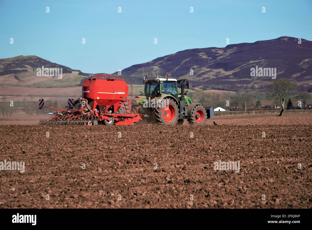 Tracteur Fendt avec semoir Horsch semis d'orge de printemps - écossais agriculture Banque D'Images