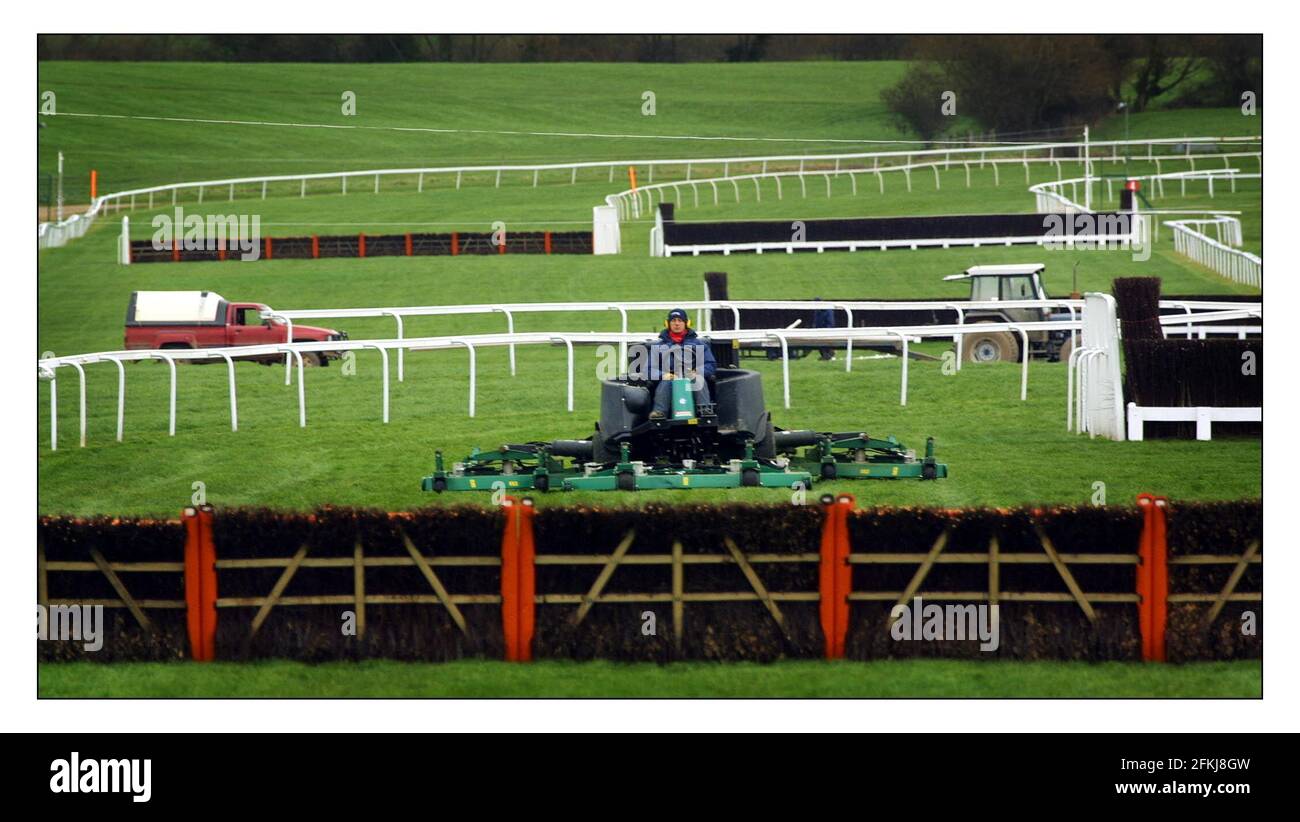 Aller avec l'histoire de Mathew Beard en comparant les années précédentes a annulé Cheltenham Gold Cup Festival à cette année Faucher des kilomètres de piste en préparation pour les courses.pic David Sandison 6/3/2002 Banque D'Images