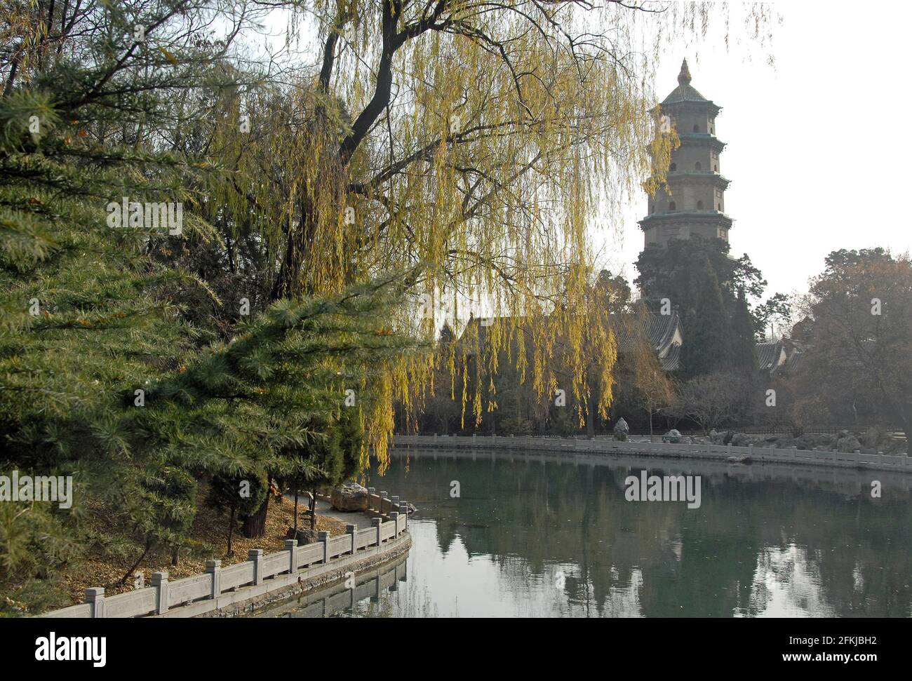Temple Jinci près de Taiyuan, Shanxi , Chine. Vue sur la pagode du temple de Jinci en regardant de l'autre côté d'un lac avec un reflet de la pagode et du saule. Banque D'Images