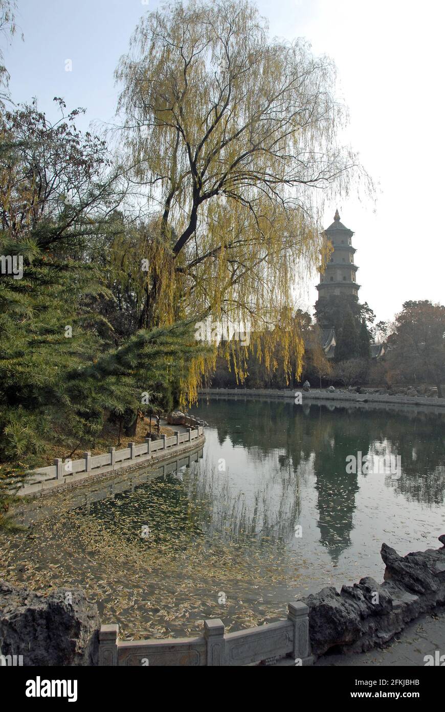 Temple Jinci près de Taiyuan, Shanxi , Chine. Vue sur la pagode du temple de Jinci en regardant de l'autre côté d'un lac avec un reflet de la pagode et du saule. Banque D'Images