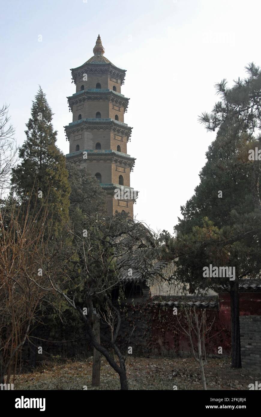 Temple Jinci près de Taiyuan, Shanxi , Chine. Vue sur la pagode du temple de Jinci depuis le jardin du temple avec des arbres au premier plan. Banque D'Images