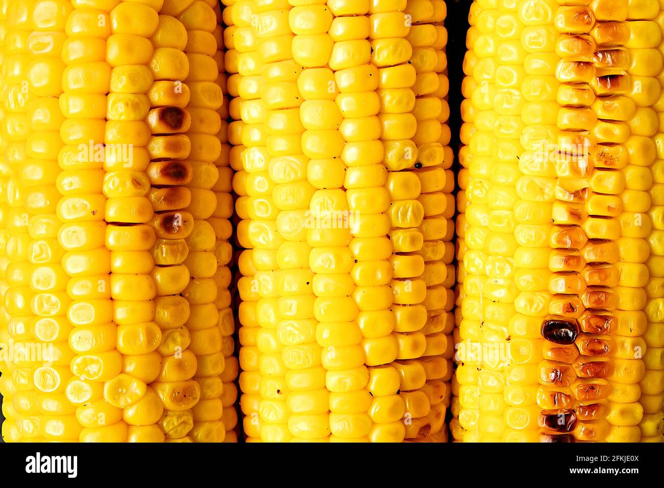 Gros plan de trois cornons grillés sur feu de barbecue. Motif de grains de maïs jaune avec pièces grillées. Concept d'habitudes alimentaires propres. Backgrou Banque D'Images