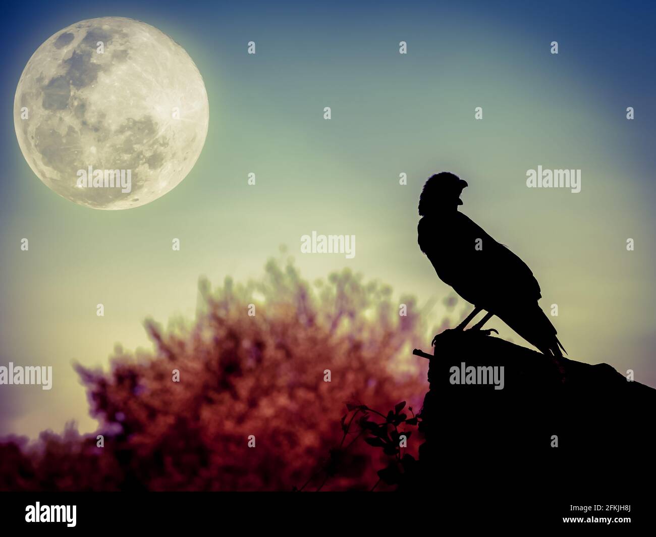 Magnifique ciel nocturne avec pleine lune, arbre et silhouette de corbeau sur pierre qui peut être utilisé pour halloween. Vignette et style d'image vintage. À l'extérieur. Banque D'Images