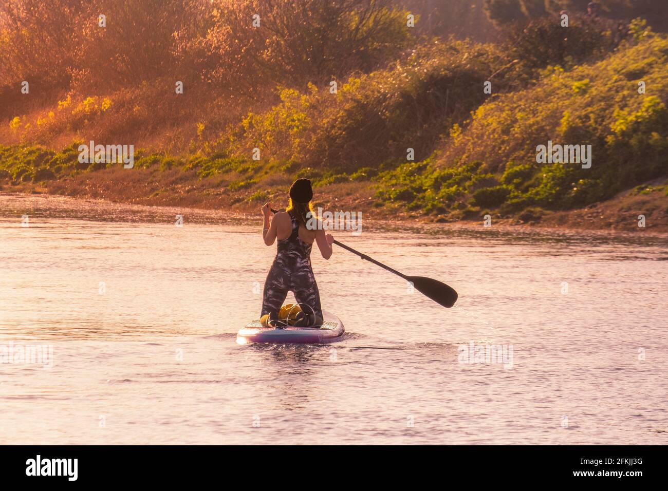 Vue arrière d'une planque femelle agenouillée sur un paddleboard debout à marée haute sur la rivière Gannel à Newquay, dans les Cornouailles. Banque D'Images