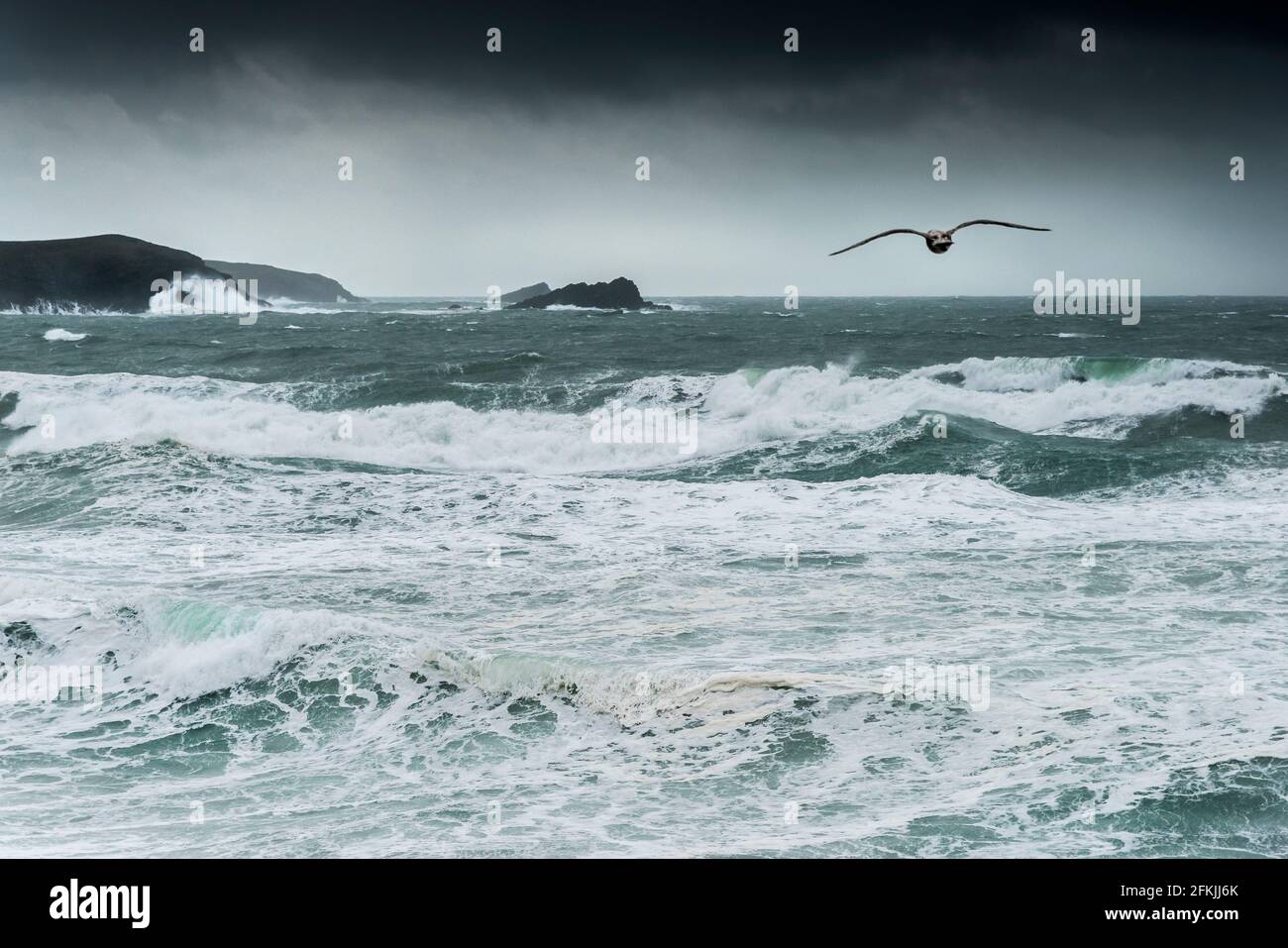 Un mouette volant au-dessus de mers agitées par temps orageux dans la baie de Fistral à Newquay, en Cornouailles. Banque D'Images
