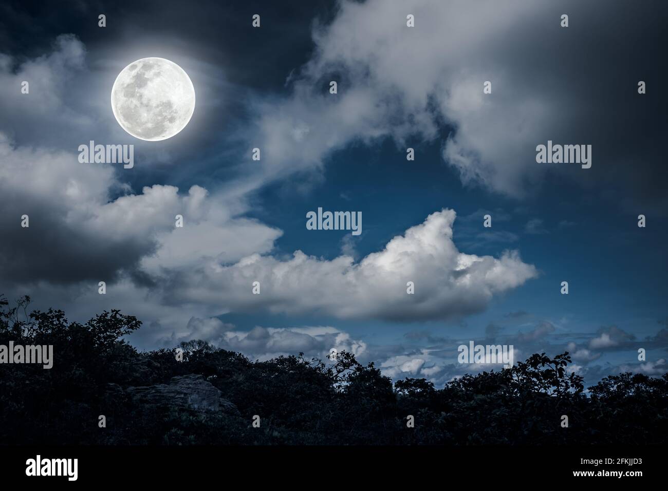 Silhouettes d'arbre et ciel nocturne avec des nuages, pleine lune lumineuse ferait un arrière-plan superbe. Beauté de la nature. La lune n'était PAS meublée par NA Banque D'Images